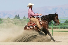 Reining horse doing a side stop