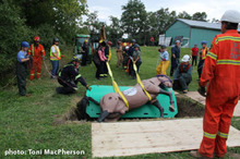 A practice rescue using a horse mannequin