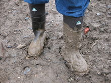 Rescuing a horse stuck in mud