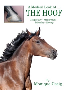 Promoting better horse hoof health