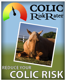 More resources for prevention of colic in horses