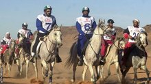 The UAE team of riders and horses