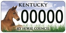 Specialty Kentucky license plate