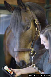 New app for tracking horse health