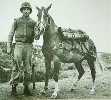 US Marine Sergeant Joseph Latham with Sgt. Reckless