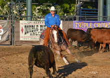 Bob Avila cutting cow from herd in Magnificent 7 Stock Horse Competition