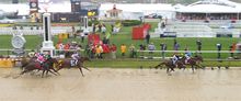 American Pharoah running Preakness on muddy track