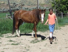 Dani and her mare