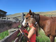 Dani demonstrating how to tie a horse