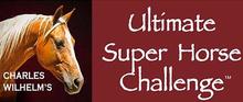 The excitement of the Ultimate Super Horse Challenge