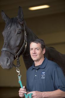 Dr. Christopher Kawcak, DVM, PhD, DACVS, DACVSMR, Director of CSU Equine Services