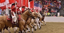 Equine Affaire: Four Days Filled with So Many Possibilities | EquiMed - Horse Health Matters
