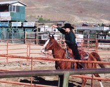 Riding a gelding for 4-H roping contest