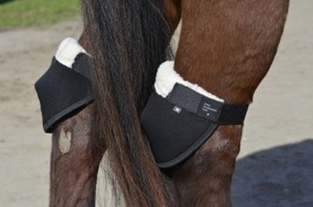 The Hock Shield for Horses: Long Lasting Protection to Stand Up to the ...