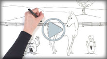 Whiteboard videos show how to prevent sickness in horses
