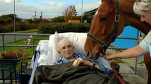 Touching last moments between owner and horse