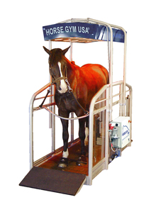 A horse gym for equine athletes