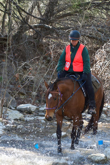 Riding your horse during winter weather!