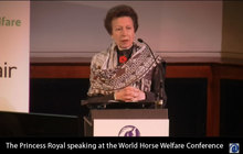 Princess Anne speaking at World Horse Conference