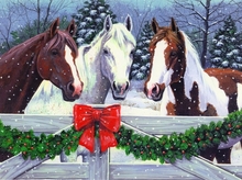 Happy holidays for horses and owners