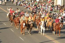 Horses and riders participating in Rose Parade