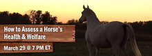 Learn more about equine science and horse welfare