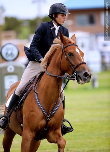 Performance horse rider at HIPICO Santa FE