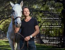 Sebastian RochÃ© TV star and horse advocate