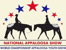 Stars and Stripes Summer Spectacularâa full day show for equestrians with disabilities