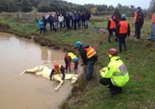 Participants in horse rescue training using a dummy horse