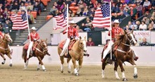 Everything related to horses at Equine Affaire