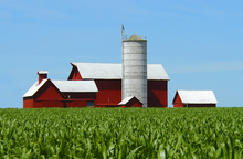 Making informed horse barn decisions