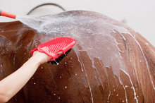 Quick cooling for overheated horse