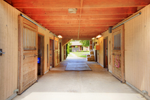 Organized and clutter free horse barn aisle