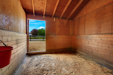 The horse stall