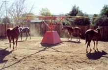 Horses exercising on a Centaur Hot Walker