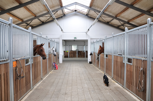 Every Horse Owner's Guide to a Healthy Barn | EquiMed 