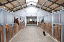 Horse barn with natural lighting and high ceilings