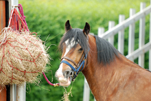 Traditional hay net