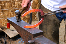 Farrier customizing horse shoe