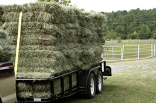 Hay - Key to your horse's nutrition