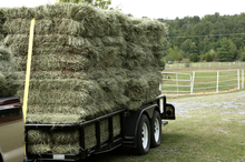 Making the switch to new hay for your horse