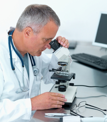 Man inspecting horse embryo.