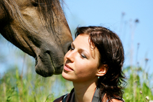 Developing an understanding between horse and human