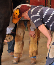 The role of the farrier in treating lameness