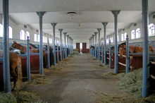 Reduce hoof problems by keeping the barn clean