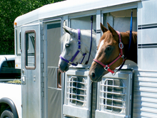 Roadside assistance program for equestrians