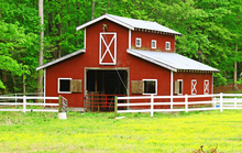 Considering sites for horse barns