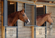 Maintaining a healthy horse barn