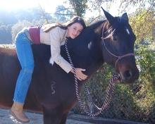 Therapeutic riding - Key to well-being